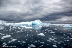 antarctic-peninsula_18