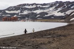 deception-island-antarctica_08