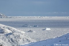 Festgefrorene Eisberge vor Tasiilaq