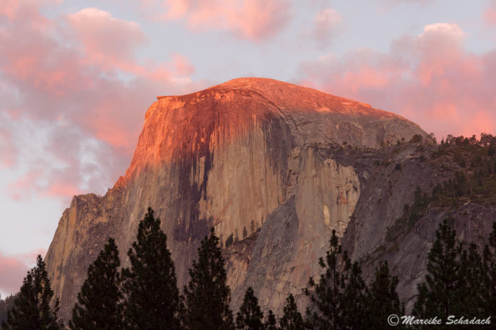 Besteigung des Half Dome im Yosemite Nationalpark Besteigung des Half Dome im Yosemite Nationalpark