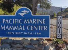 Pacific Marine Mammal Center