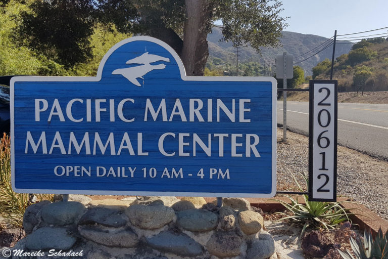 Pacific Marine Mammal Center