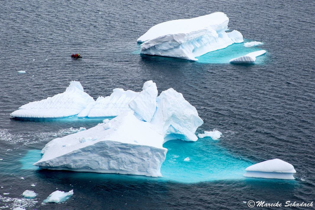 Antarktis die besten Tipps für die Reise für die Reise FernwehMotive