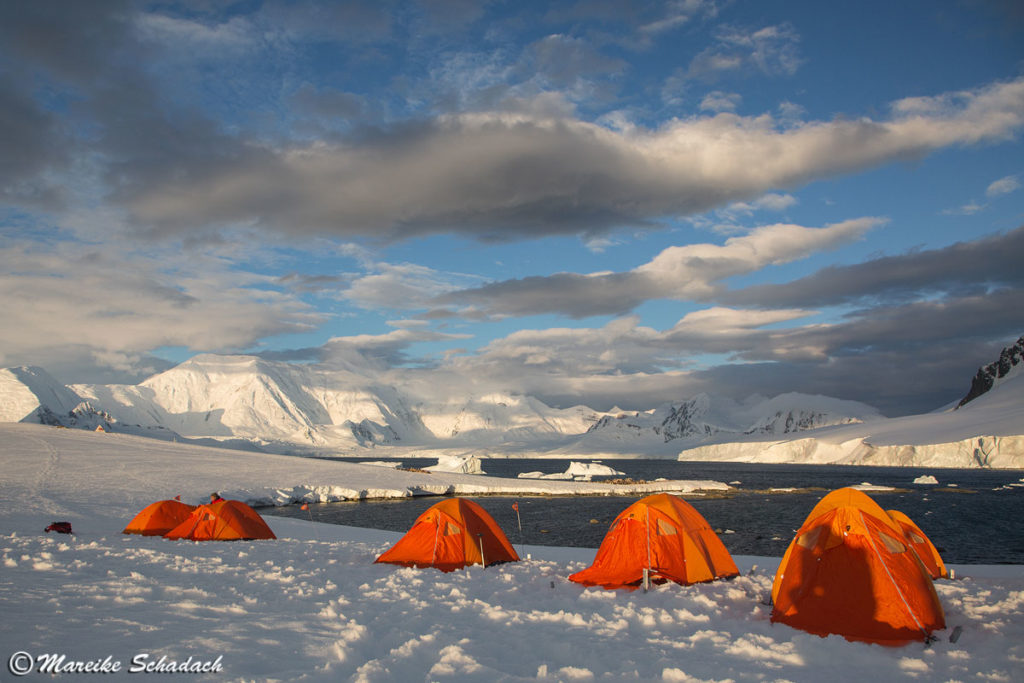 Camping in der Antarktis, Damoy Point