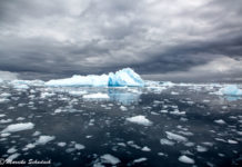 Antarktis – die besten Tipps für die Reise Antarktis - die besten Tipps für die Reise