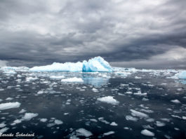 Antarktis – die besten Tipps für die Reise Antarktis - die besten Tipps für die Reise