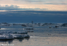 Polarliteratur – Buchttipps zur Arktis und Antarktis