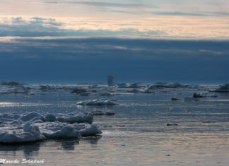 Polar Literature - Book Tips on the Arctic and Antarctic