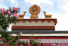 Das vergessene Königreich Guge – ein Besuch im Kloster Tholing Kloster Tholing Königreich Guge