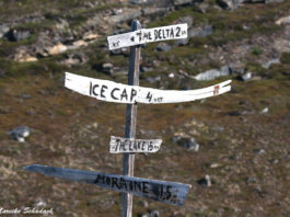 Hiking Tour vom Eqi-Gletscher zum grönländischen Inlandeis auf eigene Faust