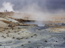 Diamond-Circle - Island Highlight