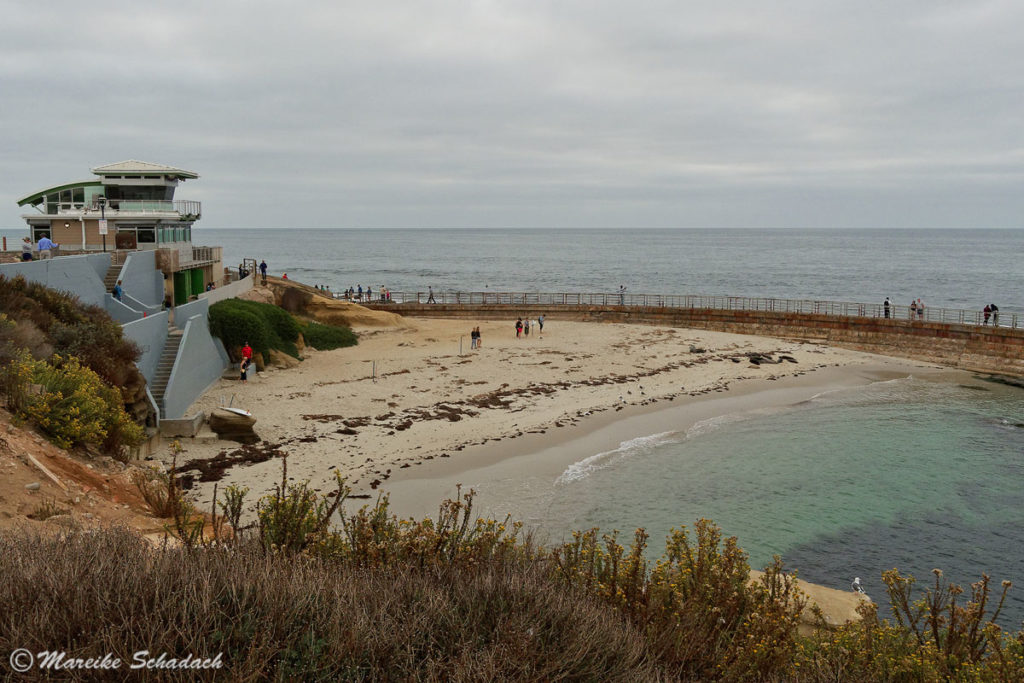 Children's Pool in La Jolla