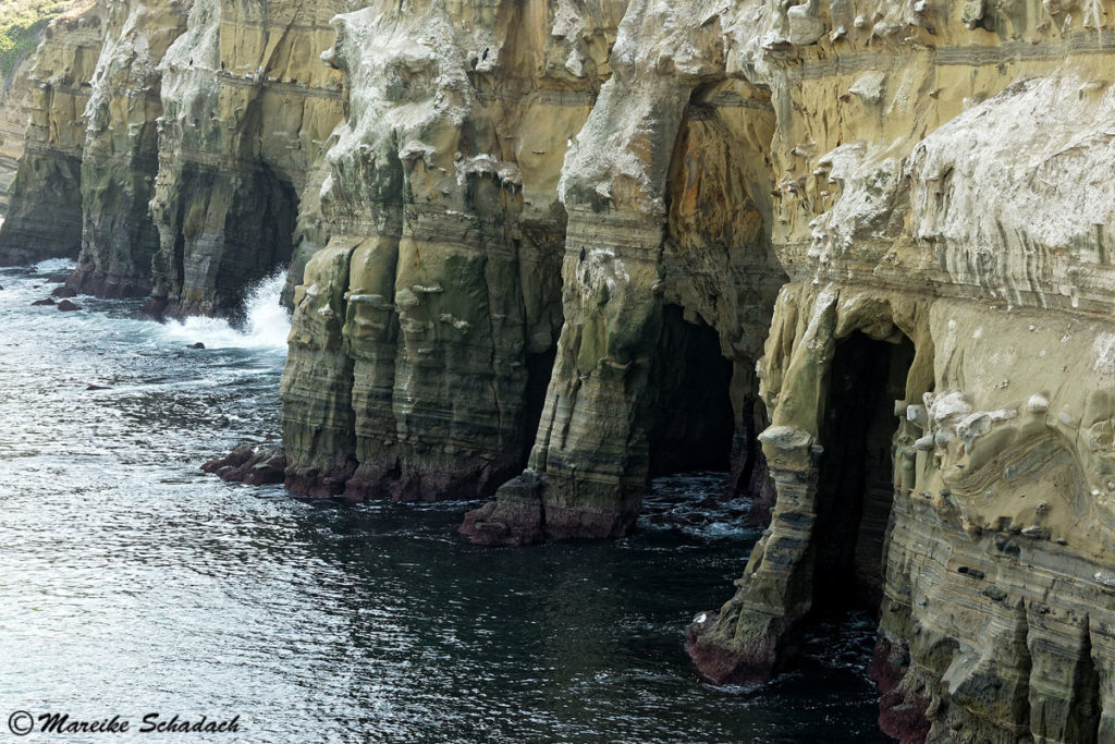 Die Meereshöhlen La Jolla Caves