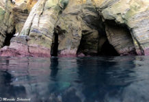 Snorkeling in La Jolla - the best Tips Schnorcheln in La Jolla – die besten Tipps