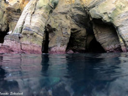 Schnorcheln in La Jolla – die besten Tipps