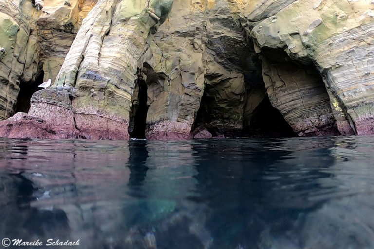 Schnorcheln in La Jolla – die besten Tipps