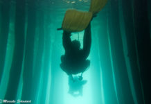 Diving in Macedonia - prehistoric Lake Dwellings in Lake Ohrid Tauchen in Mazedonien – prähistorische Pfahlbauten im Ohridsee