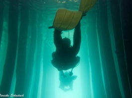 Tauchen in Mazedonien – prähistorische Pfahlbauten im Ohridsee