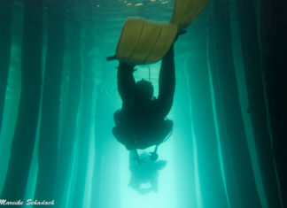 Diving in Macedonia - prehistoric Lake Dwellings in Lake Ohrid Tauchen in Mazedonien – prähistorische Pfahlbauten im Ohridsee