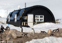 Port Lockroy – südlichstes Museum und Poststation der Welt Port Lockroy - südlichstes Museum und Poststation der Welt