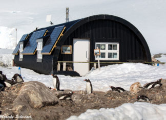 Port Lockroy - the southernmost Museum and Postal Station in the World Port Lockroy - südlichstes Museum und Poststation der Welt