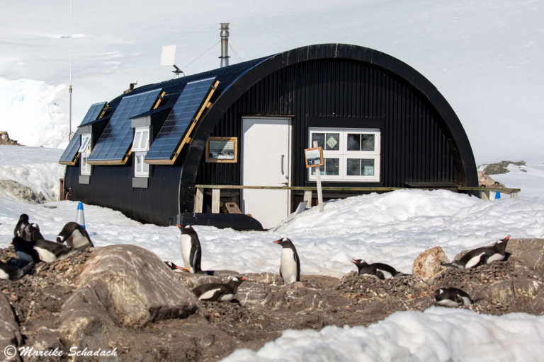 Port Lockroy - südlichstes Museum und Poststation der Welt