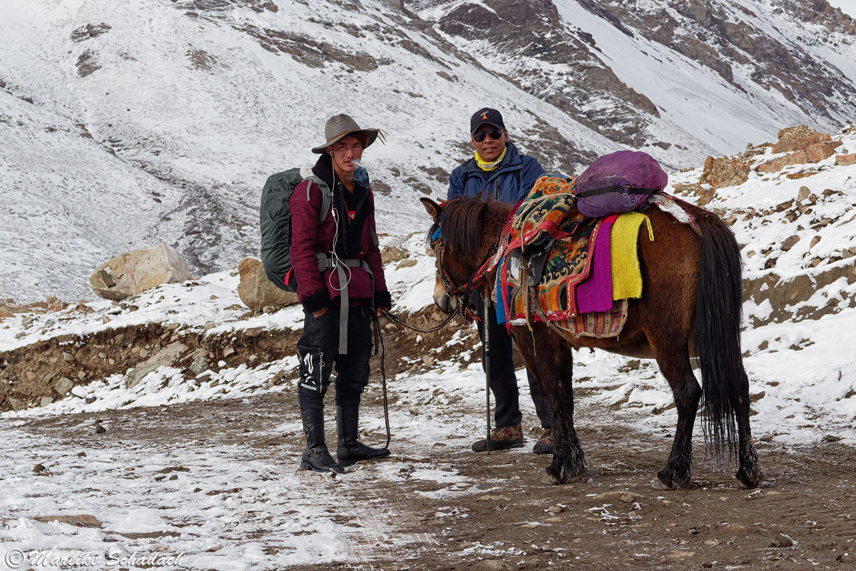 Notfall-Pferd während unseres Trekking um den Kailash 