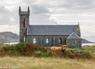 Isle of Coll - Highlights of Hebridean Island Isle of Coll – Highlights der Hebrideninsel