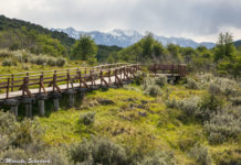 Feuerland Nationalpark – Highlights einer Tagestour mit Zug und Bus Feuerland Nationalpark - Highlights einer Tagestour mit Zug und Bus