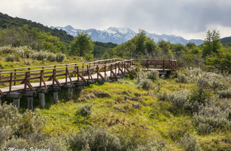 Feuerland Nationalpark - Highlights einer Tagestour mit Zug und Bus
