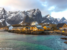 Lofoten und Vesterålen - Highlights im Winter