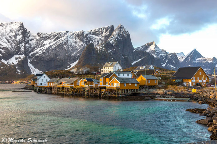 Lofoten und Vesterålen - Highlights im Winter