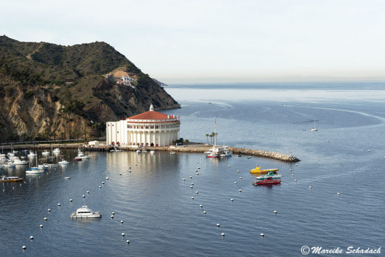 Santa Catalina Island – Reisebericht, Tipps und Highlights
