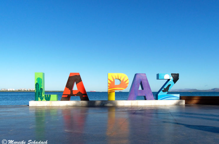 La Paz in Mexiko - 5 Highlights an der Baja California