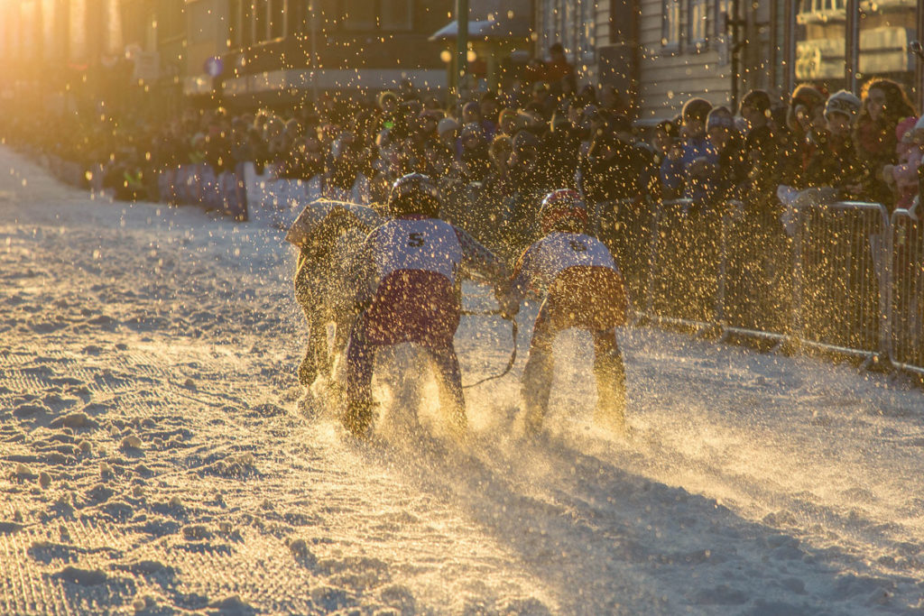 Jockeys beim Rentierwettrennen, Tromsø im Winter. 