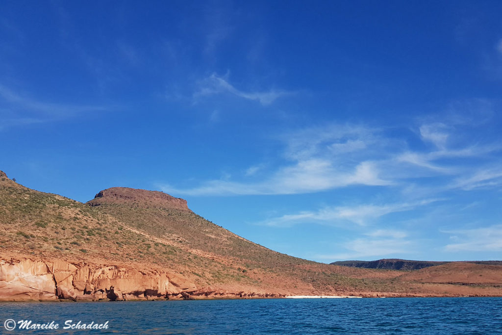  Isla Espíritu Santo 