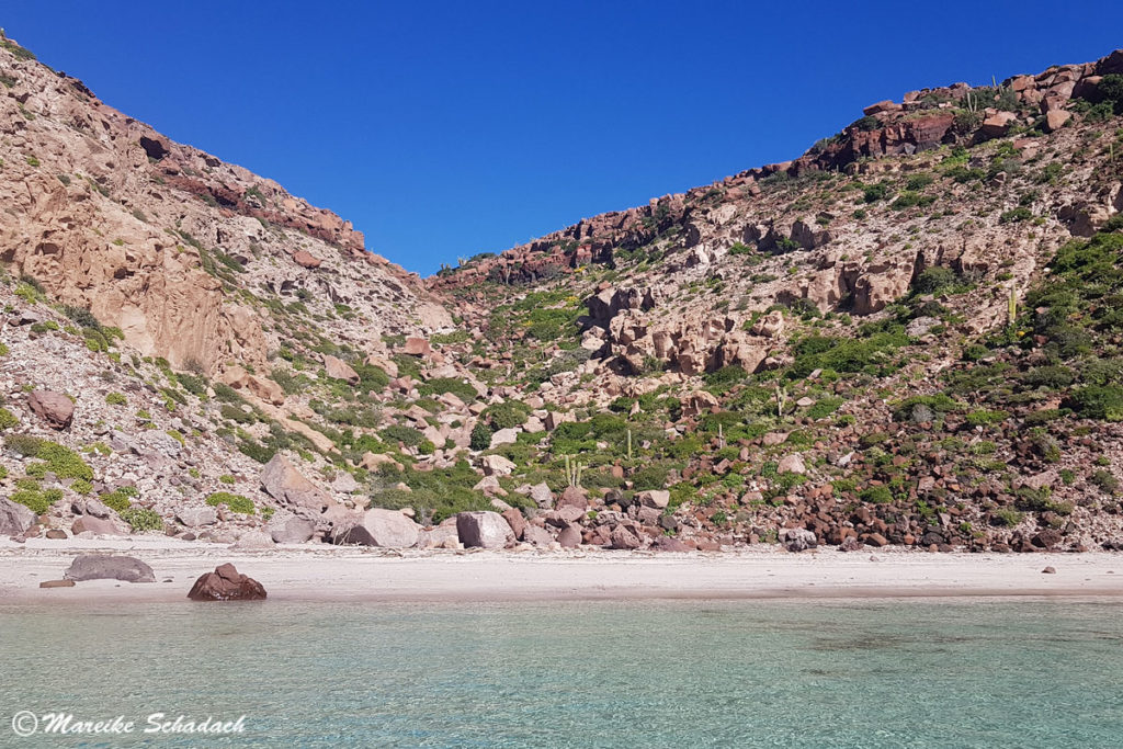  Isla Espíritu Santo 