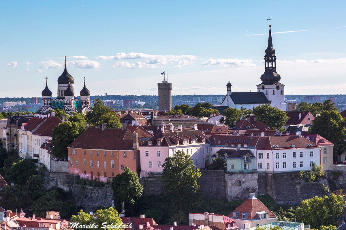 Der Blick auf die Altstadt von Tallinn von dem Turm der St. Olaikirche. Tallinn war ebenfalls eines der Highlights auf unserem Roadtrip Russland & Baltikum