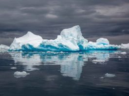 Filmtipps! Die 13 besten Polarfilme Die 13 besten Polarfilme