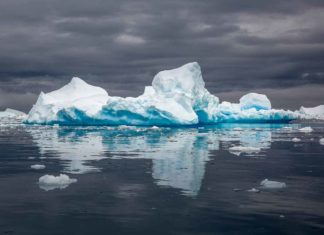 Movie Tips! The 13 best Polar Movies Die 13 besten Polarfilme