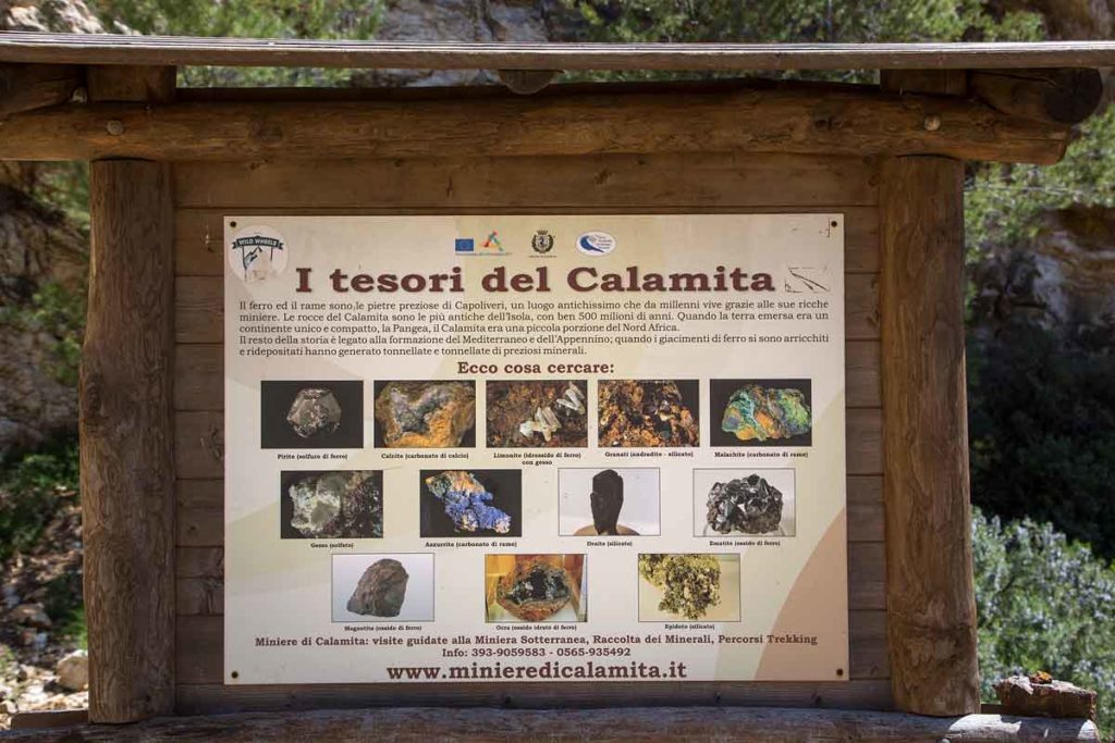 Tafel mit den Mineralien, die in der Mine am Berg Calamita bei Capoliveri auf Elba gefunden wurden