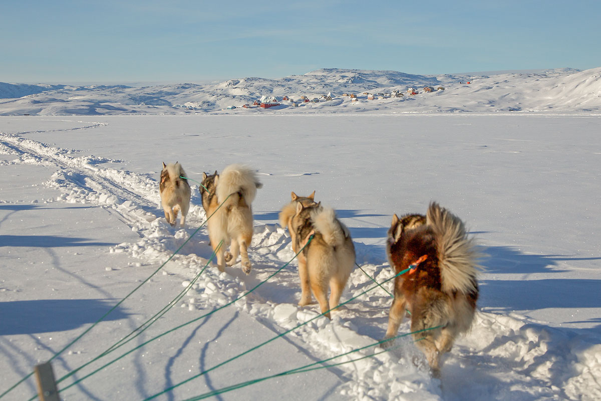 Hundeschlitten von Tasiilaq nach Tiniteqilaaq