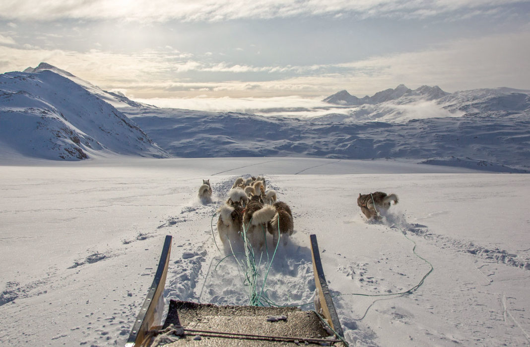 Mit Hundeschlitten von Tasiilaq nach Tiniteqilaaq - Ostgrönland - Grönland im Winter