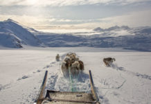 Mit Hundeschlitten von Tasiilaq nach Tiniteqilaaq Mit Hundeschlitten von Tasiilaq nach Tiniteqilaaq - Ostgrönland - Grönland im Winter