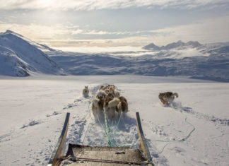 With Dog Sled from Tasiilaq to Tiniteqilaaq Mit Hundeschlitten von Tasiilaq nach Tiniteqilaaq - Ostgrönland - Grönland im Winter