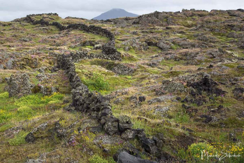 Lavalandschaft am Mývatn