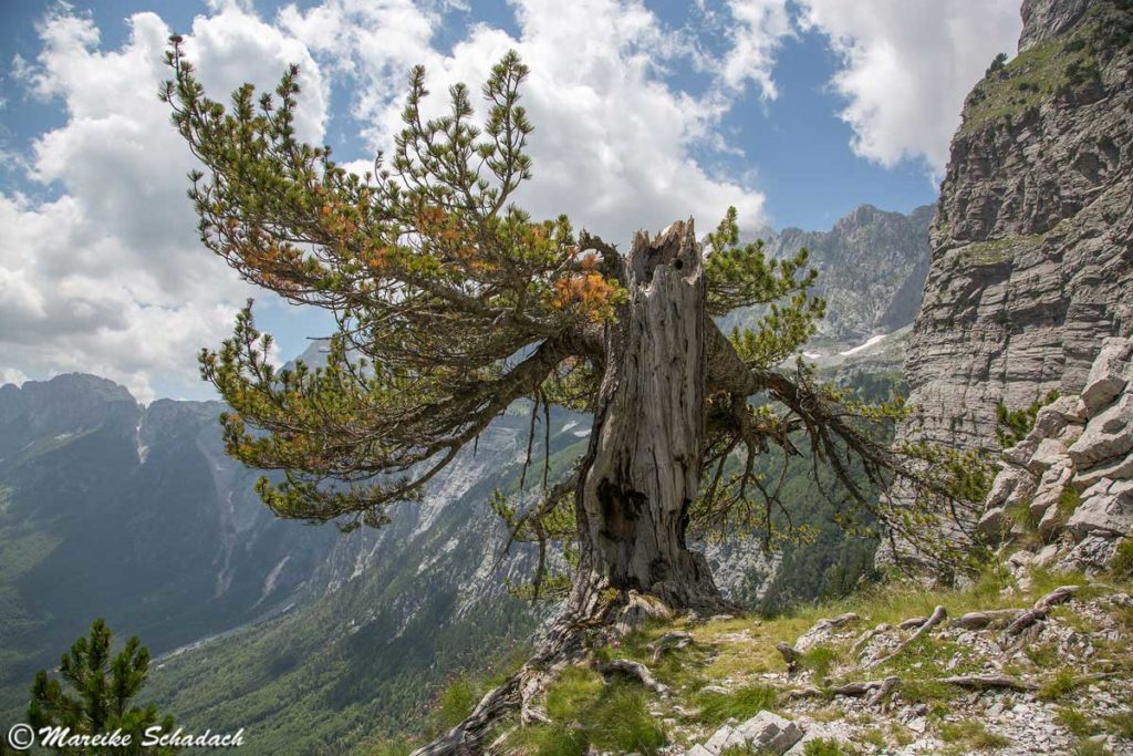 Albanische Alpen