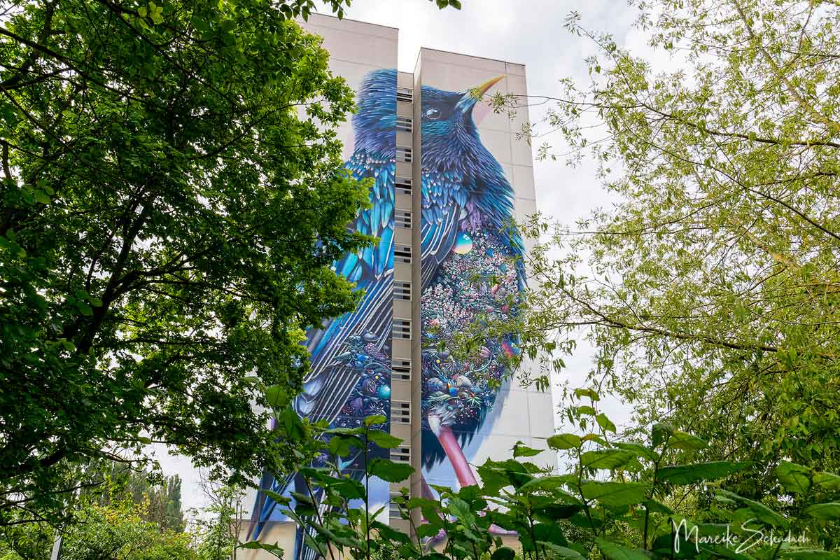 Art Park Tegel - die Graffiti-Hochhäuser von Berlin