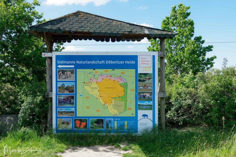 Döberitzer Heide Ausflug zum alten Truppenübungsplatz