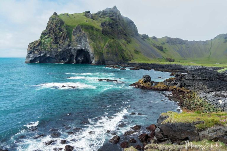 Westmännerinseln – Wanderung zu den Puffins am windigsten Ort in Island